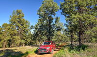 Book Narrandera Accommodation Vacations Attractions Melbourne Attractions Melbourne