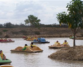 Billabong Ranch - Attractions Melbourne 6