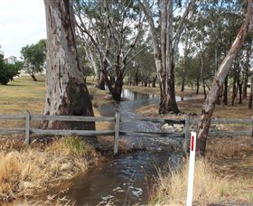 Mackereth's Hedon Farm - Attractions Melbourne 2
