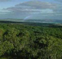 Mount Richmond National Park - Attractions Melbourne