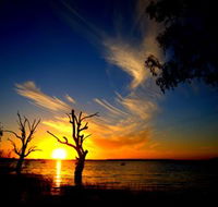 Lake Cowal - Attractions Melbourne