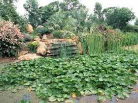 Mackenzie Park - Attractions Melbourne 0