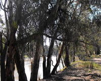 Mia Forest Drives Narrandera
