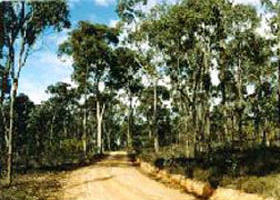 Paddys Ranges State Park - Attractions Melbourne 0