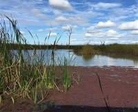 Gwydir Wetlands