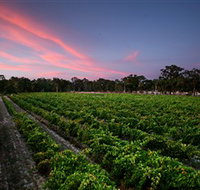 Amherst Winery - Attractions Melbourne
