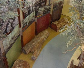 Barmah Forest Heritage And Education Centre - Attractions Melbourne 4