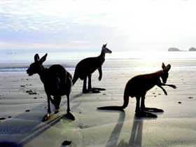 Hibiscus Coast - Attractions Melbourne 0