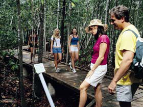 Hibiscus Coast - Attractions Melbourne 3