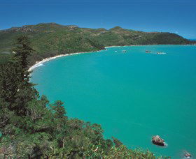 Hibiscus Coast - Attractions Melbourne 2