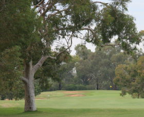 Tocumwal Golf Club - Attractions Melbourne 2