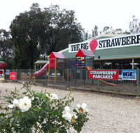 The Big Strawberry - Attractions Melbourne