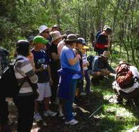Warrumbungle National Park Discovery Program - Attractions Melbourne