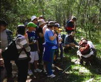 Warrumbungle National Park Discovery Program
