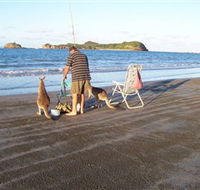 Cape Hillsborough National Park - Attractions Melbourne