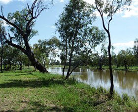 Seplin Estate Wines - Attractions Melbourne 1