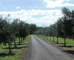 Seplin Estate Wines - Attractions Melbourne 3