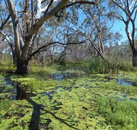 Macquarie Valley Trails - Attractions Melbourne