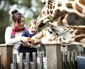 Taronga Western Plains Zoo, Dubbo - Attractions Melbourne 0