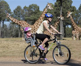 Taronga Western Plains Zoo, Dubbo - Attractions Melbourne 2