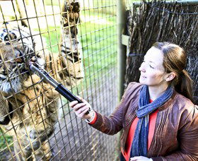 Taronga Western Plains Zoo, Dubbo - Attractions Melbourne 3