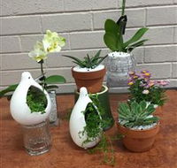 Cobram Florist - Attractions Melbourne