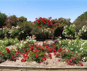 Barooga Botanical Gardens - Attractions Melbourne 2