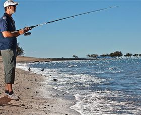 Dugong Sanctuary - Clairview - Attractions Melbourne 3