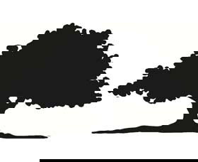 Ariah Park 1920s Heritage Village - Attractions Melbourne 3