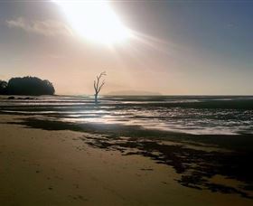 Shoal Point - Attractions Melbourne 1