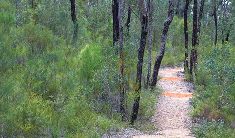 Sculptures In The Scrub Walking Track - Attractions Melbourne 1