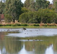 Cussen Park - Attractions Melbourne