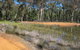 Beni State Conservation Area - thumb 0