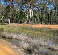 Beni State Conservation Area - Attractions Melbourne