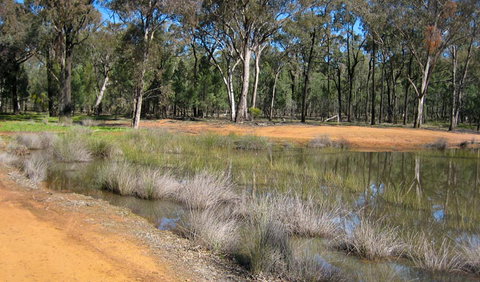 Beni State Conservation Area - Attractions Melbourne 0