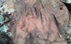 Beni State Conservation Area - thumb 1