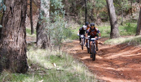 Beni State Conservation Area - Attractions Melbourne 2