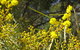 Beni State Conservation Area - thumb 3
