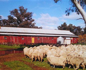 Savernake Day Tours - Attractions Melbourne 1