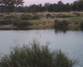 Savernake Day Tours - Attractions Melbourne 7