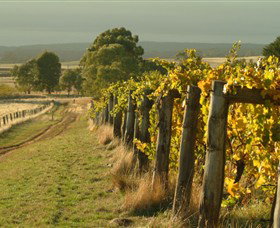 Captains Creek Organic Wines - Attractions Melbourne 0