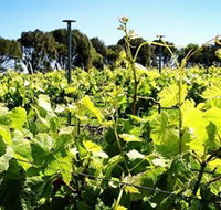 Basalt Wines - Attractions Melbourne