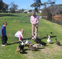 Roy Little Park Merredin - Attractions Melbourne