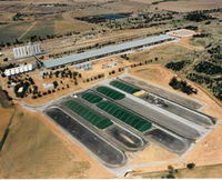 Co-operative Bulk Handling CBH Wheat Storage and Transfer Depot