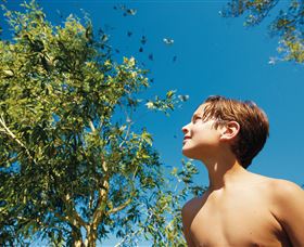 Birdwatching On Keswick Island - Attractions Melbourne 0