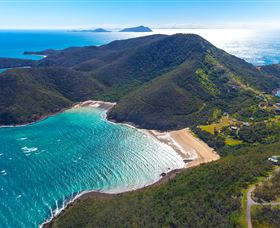 Birdwatching On Keswick Island - Attractions Melbourne 1