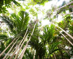 Bushwalking On Keswick Island - Attractions Melbourne 1