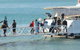 Keswick Island Jetty - thumb 0