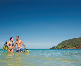 Scuba Diving On Keswick Island - Attractions Melbourne 2