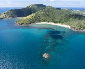 Scuba Diving On Keswick Island - Attractions Melbourne 3